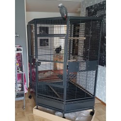 Kattlyckas Papegojbur Hörn 187 - Kundbild 1